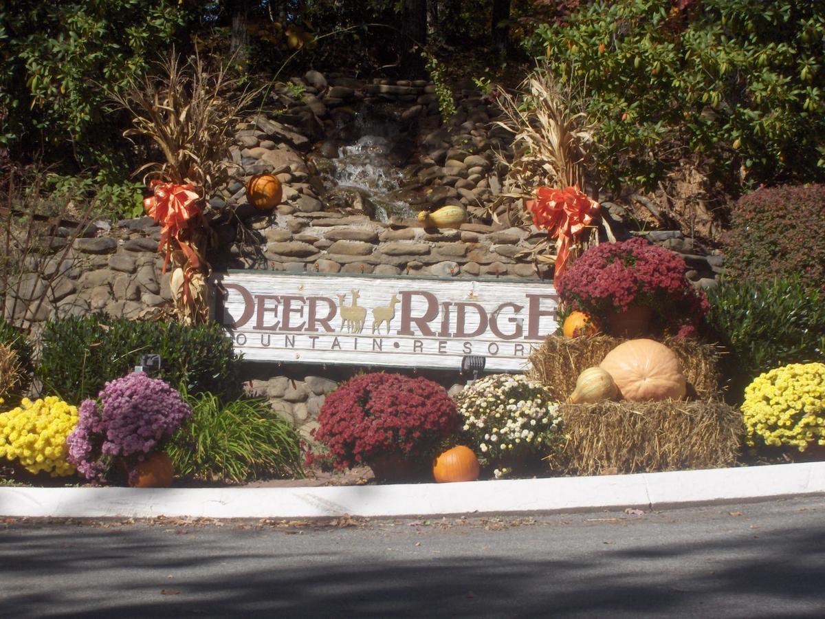 Deer Ridge Mountain Resort Pittman Center Екстериор снимка
